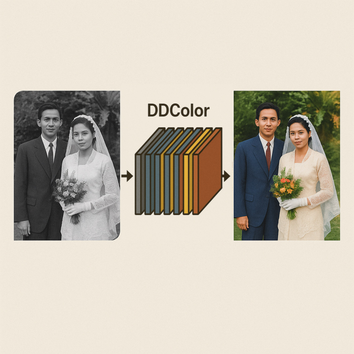 Colorization process visualization